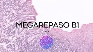 MEGAREPASO BLOQUE I 2024 (2)- its.histology