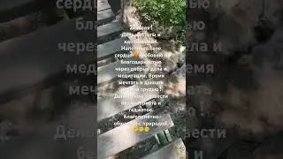 Карта дня 27 июля #таро #картадня