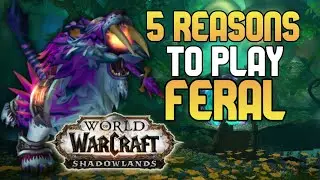 5 Reasons To Play Feral Druid In World Of Warcraft Shadowlands!