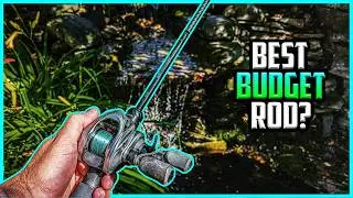 Handing M1: The Ultimate Budget Power BFS Rod?