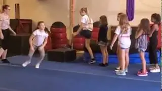 Shinobi School Birthday Party Video!
