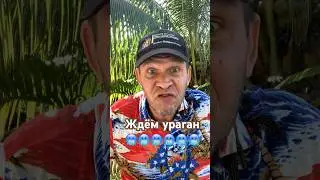 Ураган «Берил» #ямайка #ураган