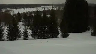 Уральская тайга дубль 2