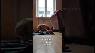 Пальмочке НЕ СОБРАЛИ💔