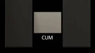 Геймплей Rusta