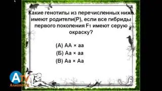 Предметный тест. Биология. Общая информация.