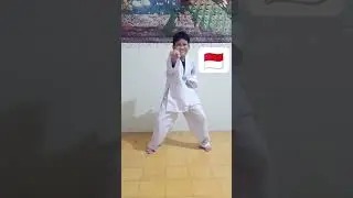 Taekwondo Almer 