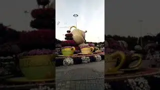 Miracle garden part 6