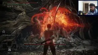 Malenia Fight