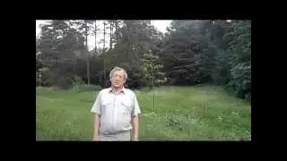 О влиянии привычек на уровень и качество жизни