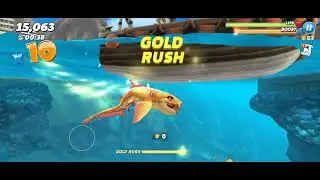 the fabulous nurse shark 🦈🦈! hungry shark world!