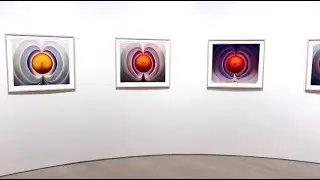Loie Hollowell "Dilation Stage" in Pace Gallery in NY 2024