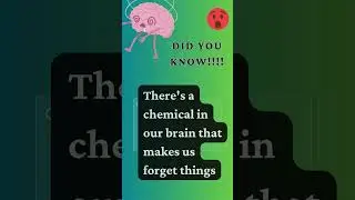 did you know facts| amazing facts 