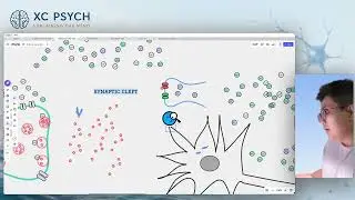 How Does a Neuron Decide to Fire? | Neurobiology Module 1 Part 7 🧠⚖️