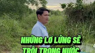 Xyphon TÔM NHƯ THẾ NÀO CHO ĐÚNG I Trần Quang Huy Official.