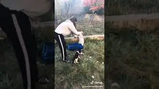 Sokak kedilerine sahip çıkalım