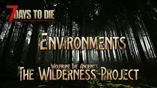 TWP 2023 Forest Environment Intro