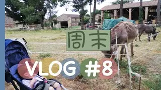 周末Weekend VLOG #8 爱吃草莓🍓的驴，爱企鹅🐧走路的宝宝，爱逛街的妈妈