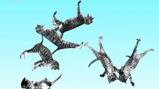 САМЫЕ БЕСПОЛЕЗНЫЕ САЙТЫ #7