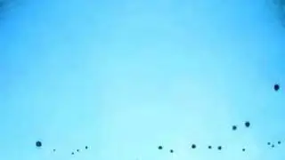 UFOs  they live in the sky(update version}