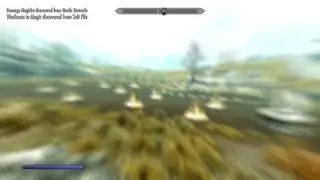 Skyrim 