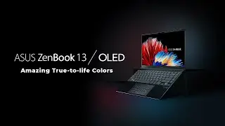 ASUS ZenBook OLED 13 OLED | Flexible performance, effortless mobility