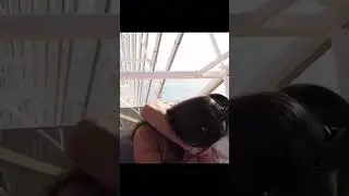 N3on Gets his first kiss from Sam Frank