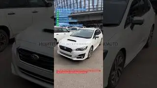 Красавец Levorg в рестайлинге на коже😎❤️🔥