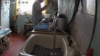 Куда делись яйца в РФ. Дефицит яиц. Найдена причина