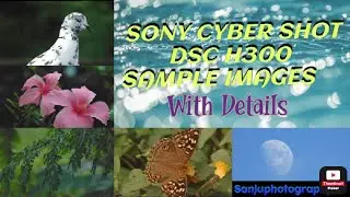 Sony Cyber Shot DSC H300 Sample Images with Details ।। Sony Dsc H300 Photo Review
