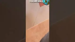 А ваши гости знают, что у них в мороженом козявки и Соколовский? зверополис |RYTP| часть 18