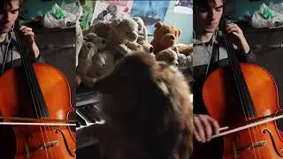 A Dog's Life - Original Piano+Cello song [feat. Doggo]