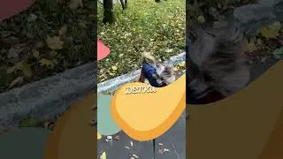 Осенняя прогулка