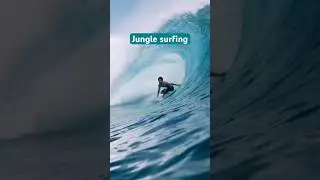 Do wild tigers 🐅 still exist near this surf spot?