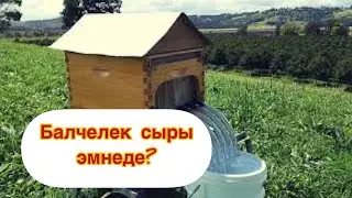 БАЛ ЧЕЛЕК