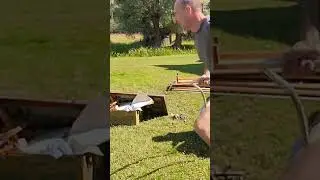Простые деревенские радости!Мухоморы с бешеной энергетикой от Клавы!
