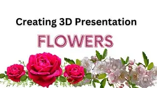 Creating 3D Presentation in PowerPoint PPTs | 3D Presentation | Wonders in Walk