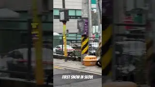 First snowfall in Seoul 2023