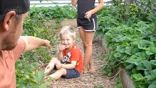 I found a thief in my garden !! (vlog)