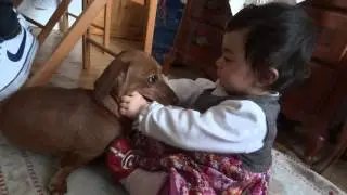 SWEETEST Dog & Baby KISSES