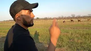Mi Viaje A Africa