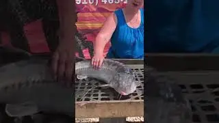 Отдых у воды