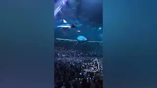 Шоу на концерте