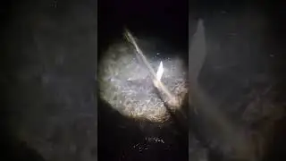 почему опасно прыгать в прорубь зимой? 