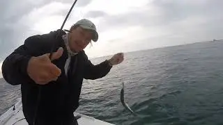 Another Lost One Man Fishing Show