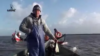 Pesca à lampreia