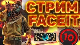 🔥ПУТЬ ДО 10 ЛВЛ ФЕЙСИТА💛КОНКУРС НА АВП ЛАПКИ!💣СКИНЫ ЗА БАЛЛЫ НА ТВИЧЕ🔥CHALLENGE ЗА ДОНАТ😍10 ЧАСОВ КС