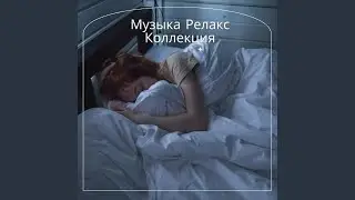 Ночь в таинственном лабиринте
