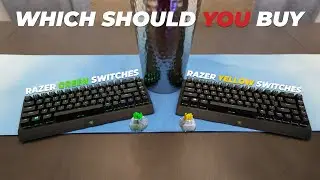 Razer Blackwidow V3 Mini | Green Vs Yellow Switches