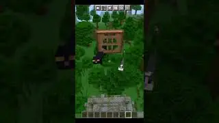Minecraft top 3 facts that you should know #shorts